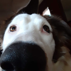 Meet your Posher, Judith